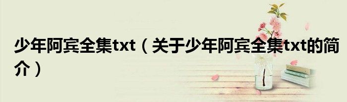 少年阿賓全集txt（關于少年阿賓全集txt的簡介）