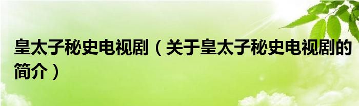 皇太子秘史電視?。P(guān)于皇太子秘史電視劇的簡(jiǎn)介）