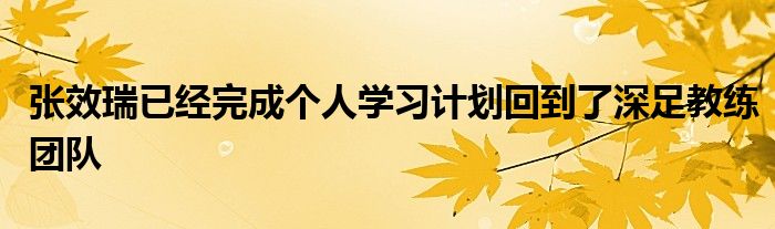 張效瑞已經(jīng)完成個人學(xué)習(xí)計劃回到了深足教練團(tuán)隊