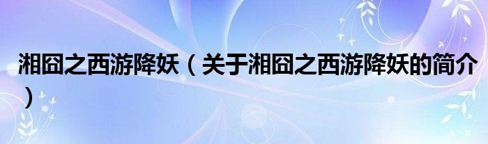 湘囧之西游降妖（關(guān)于湘囧之西游降妖的簡(jiǎn)介）