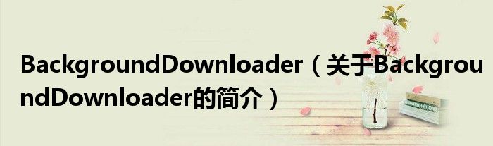 BackgroundDownloader（關(guān)于BackgroundDownloader的簡(jiǎn)介）