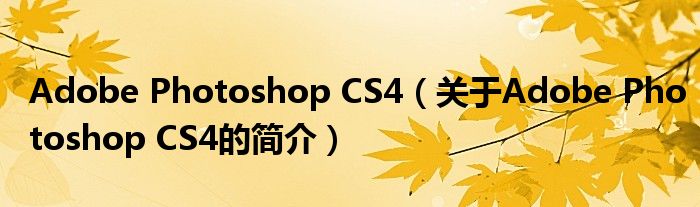 Adobe Photoshop CS4（關于Adobe Photoshop CS4的簡介）