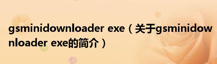 gsminidownloader exe（關(guān)于gsminidownloader exe的簡(jiǎn)介）