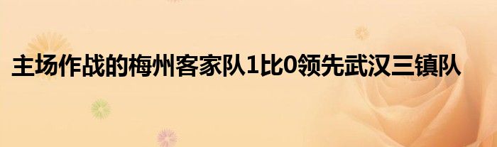 主場作戰(zhàn)的梅州客家隊1比0領(lǐng)先武漢三鎮(zhèn)隊