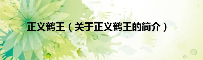 正義鶴王（關(guān)于正義鶴王的簡(jiǎn)介）