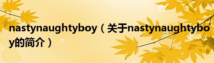 nastynaughtyboy（關(guān)于nastynaughtyboy的簡介）