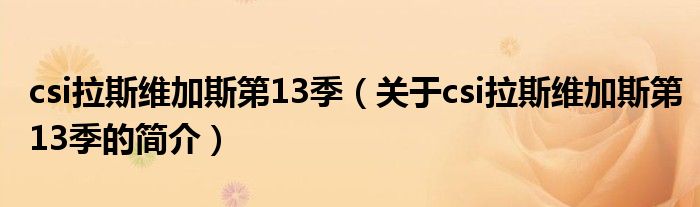 csi拉斯維加斯第13季（關于csi拉斯維加斯第13季的簡介）