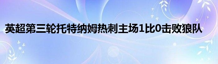 英超第三輪托特納姆熱刺主場1比0擊敗狼隊