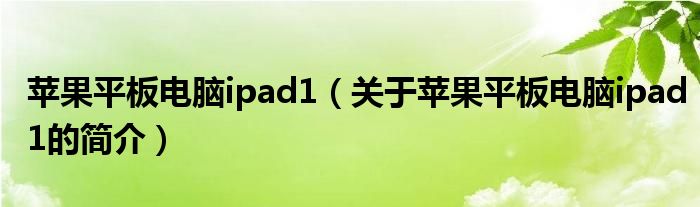 蘋(píng)果平板電腦ipad1（關(guān)于蘋(píng)果平板電腦ipad1的簡(jiǎn)介）