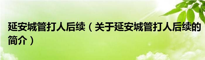 延安城管打人后續(xù)（關(guān)于延安城管打人后續(xù)的簡介）