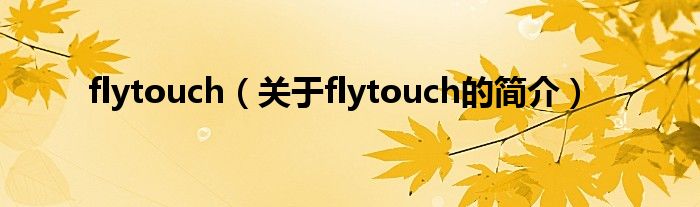 flytouch（關(guān)于flytouch的簡介）