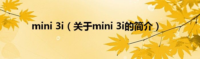 mini 3i（關于mini 3i的簡介）