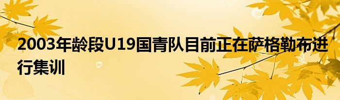 2003年齡段U19國青隊目前正在薩格勒布進行集訓