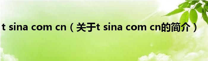 t sina com cn（關(guān)于t sina com cn的簡(jiǎn)介）