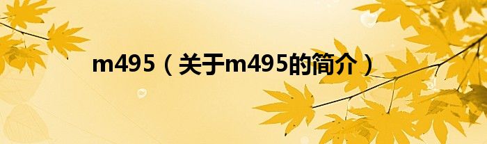 m495（關(guān)于m495的簡介）