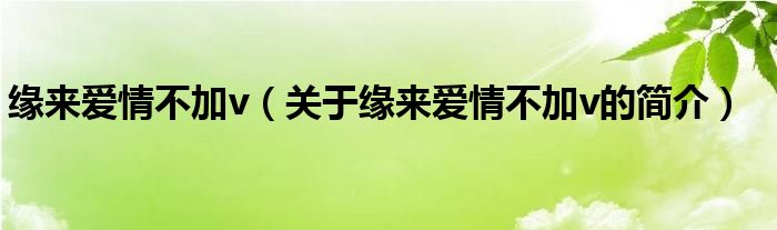 緣來愛情不加v（關(guān)于緣來愛情不加v的簡(jiǎn)介）