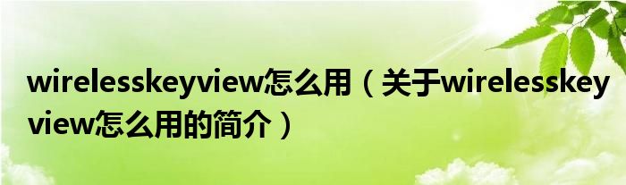 wirelesskeyview怎么用（關(guān)于wirelesskeyview怎么用的簡介）