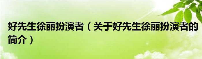 好先生徐麗扮演者（關(guān)于好先生徐麗扮演者的簡(jiǎn)介）