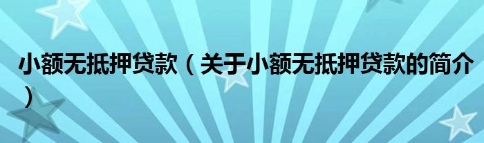 小額無抵押貸款（關于小額無抵押貸款的簡介）