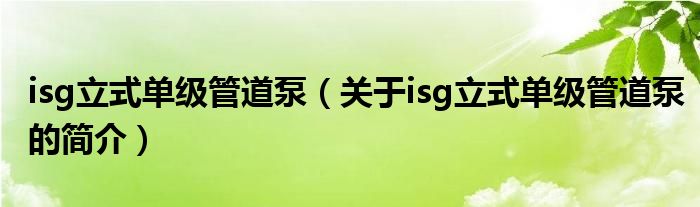 isg立式單級管道泵（關于isg立式單級管道泵的簡介）