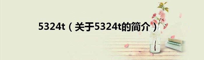 5324t（關(guān)于5324t的簡(jiǎn)介）