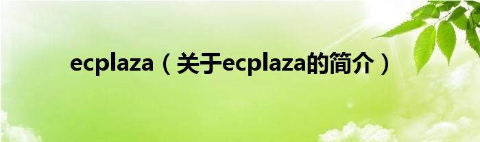 ecplaza（關(guān)于ecplaza的簡介）