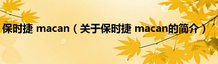 保時(shí)捷 macan（關(guān)于保時(shí)捷 macan的簡(jiǎn)介）