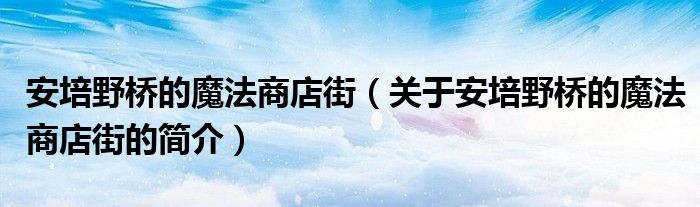 安培野橋的魔法商店街（關(guān)于安培野橋的魔法商店街的簡介）