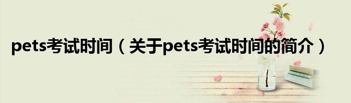 pets考試時(shí)間（關(guān)于pets考試時(shí)間的簡介）