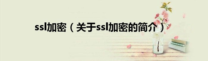 ssl加密（關(guān)于ssl加密的簡(jiǎn)介）