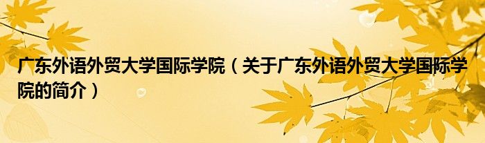 廣東外語外貿(mào)大學(xué)國際學(xué)院（關(guān)于廣東外語外貿(mào)大學(xué)國際學(xué)院的簡介）