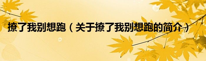 撩了我別想跑（關(guān)于撩了我別想跑的簡(jiǎn)介）