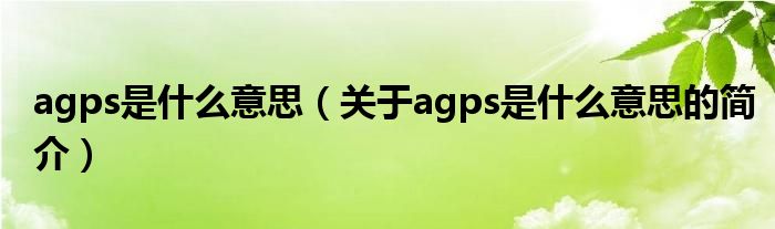 agps是什么意思（關(guān)于agps是什么意思的簡(jiǎn)介）