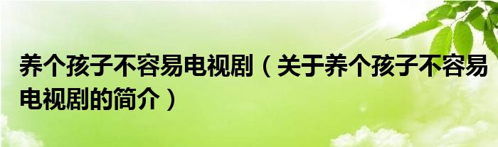 養(yǎng)個孩子不容易電視劇（關(guān)于養(yǎng)個孩子不容易電視劇的簡介）