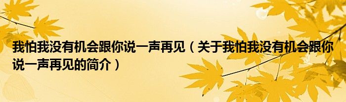 我怕我沒有機會跟你說一聲再見（關于我怕我沒有機會跟你說一聲再見的簡介）