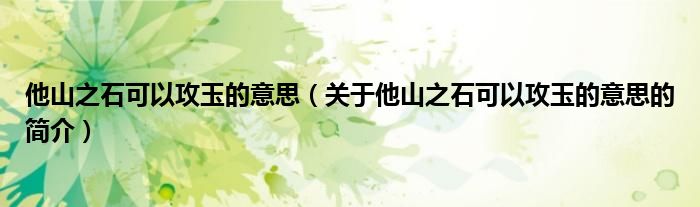 他山之石可以攻玉的意思（關(guān)于他山之石可以攻玉的意思的簡介）