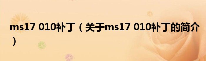 ms17 010補?。P于ms17 010補丁的簡介）