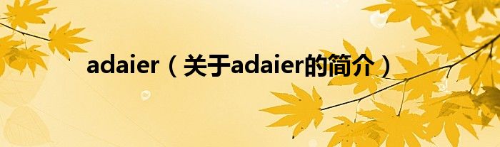 adaier（關(guān)于adaier的簡介）