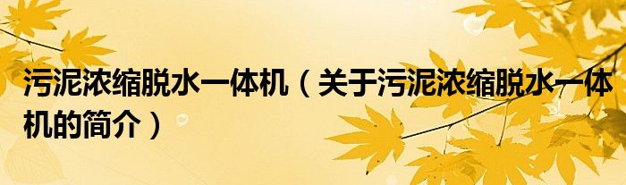 污泥濃縮脫水一體機（關(guān)于污泥濃縮脫水一體機的簡介）