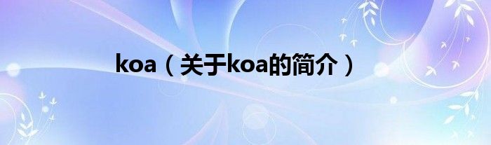 koa（關于koa的簡介）