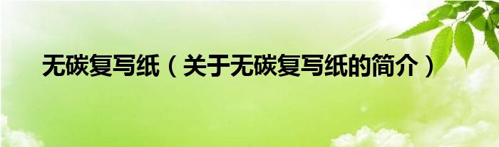 無碳復(fù)寫紙（關(guān)于無碳復(fù)寫紙的簡(jiǎn)介）