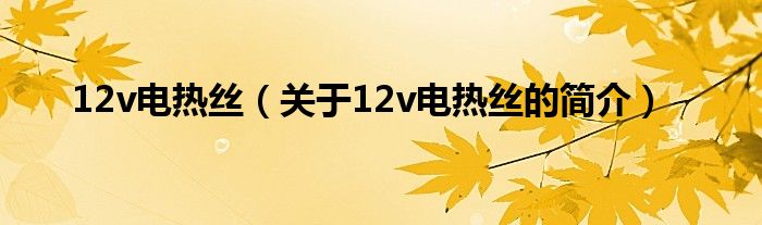 12v電熱絲（關(guān)于12v電熱絲的簡(jiǎn)介）