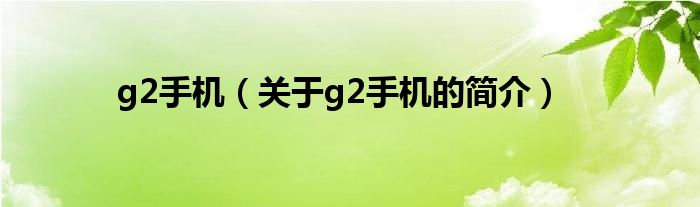 g2手機(jī)（關(guān)于g2手機(jī)的簡(jiǎn)介）