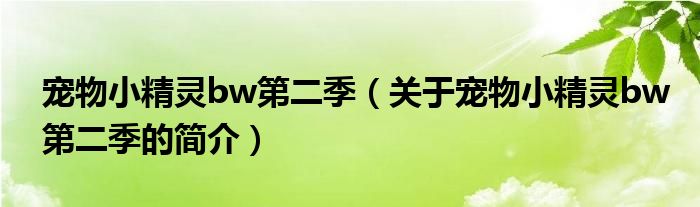 寵物小精靈bw第二季（關(guān)于寵物小精靈bw第二季的簡(jiǎn)介）