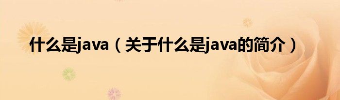 什么是java（關于什么是java的簡介）