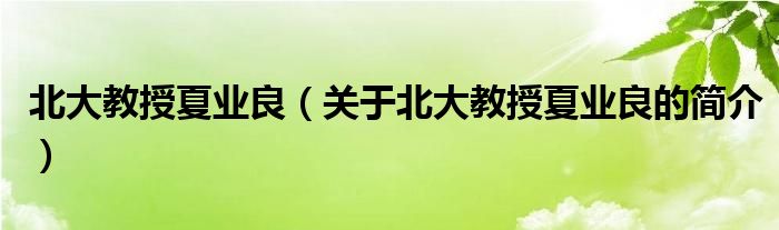 北大教授夏業(yè)良（關(guān)于北大教授夏業(yè)良的簡介）