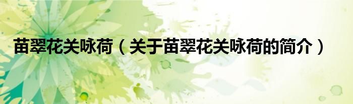 苗翠花關(guān)詠荷（關(guān)于苗翠花關(guān)詠荷的簡(jiǎn)介）