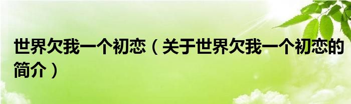 世界欠我一個初戀（關(guān)于世界欠我一個初戀的簡介）