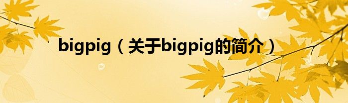 bigpig（關(guān)于bigpig的簡介）