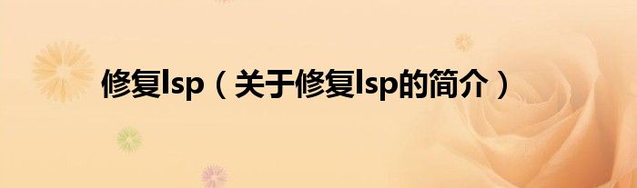 修復(fù)lsp（關(guān)于修復(fù)lsp的簡(jiǎn)介）